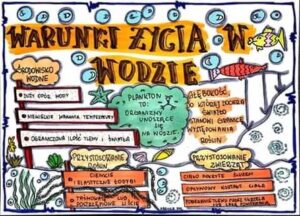 Warunki życia w wodzie Kolorowa Sketchnotka Klasa 4 Złoty nauczyciel