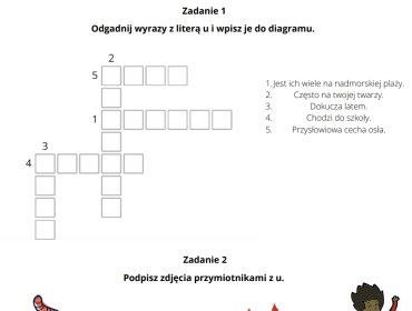 Męski układ rozrodczy anatomia klasa 7 kolorowa sketchnotka