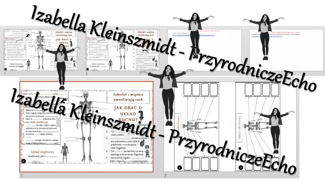 Kompletny zestaw na jedną lekcję Szkielet i mięśnie umożliwiają ruch