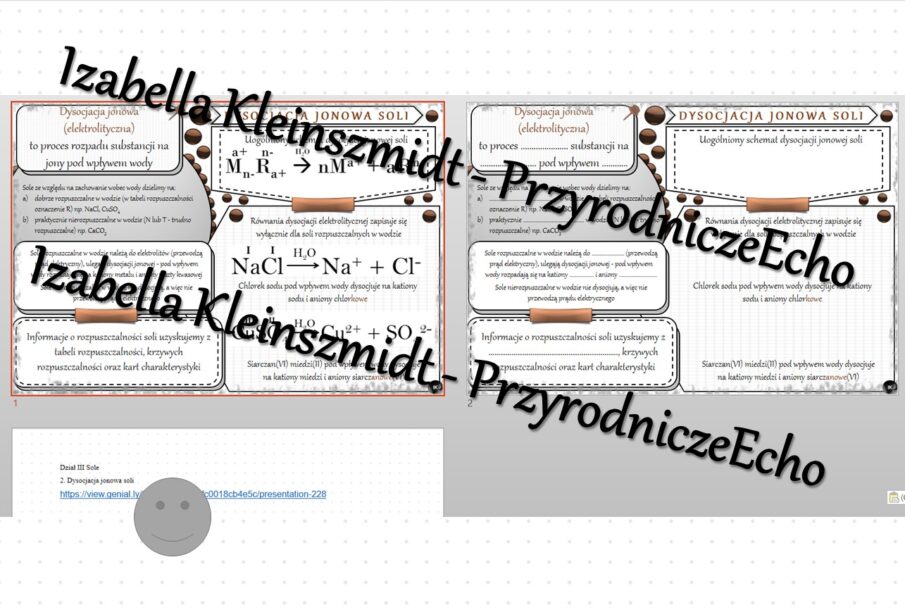 Minizestaw Na Temat Dysocjacja Jonowa Soli Sketchnotka Karta