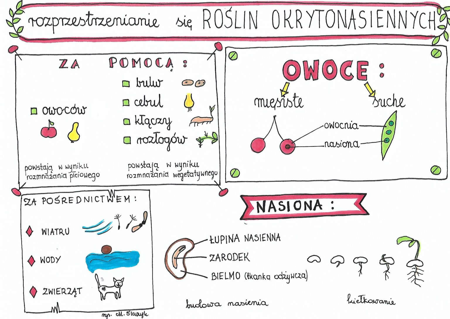 Rozprzestrzenianie się roślin okrytonasiennych Złoty nauczyciel