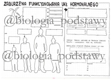 Klasa Zaburzenia Funkcjonowania Uk Adu Hormonalnego Kp Z Oty