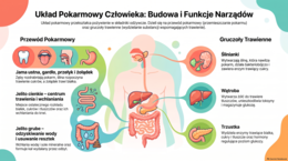 Piosenka o układzie pokarmowym