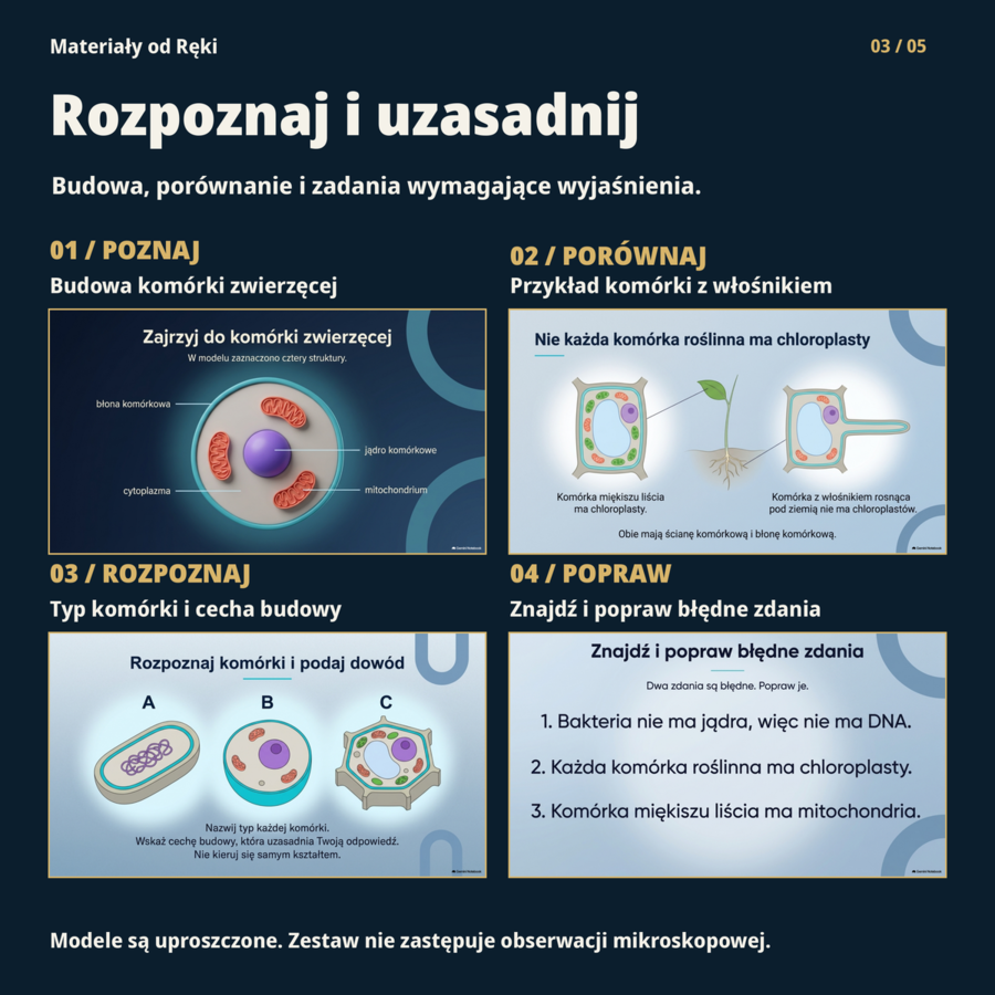 Komórki od środka: budowa i porównanie komórek | biologia klasa 5
