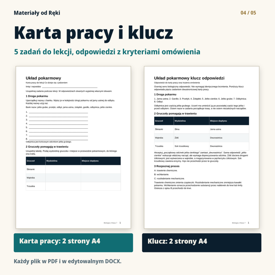 Układ pokarmowy - biologia klasa 7 | prezentacja i karta pracy na 45 minut
