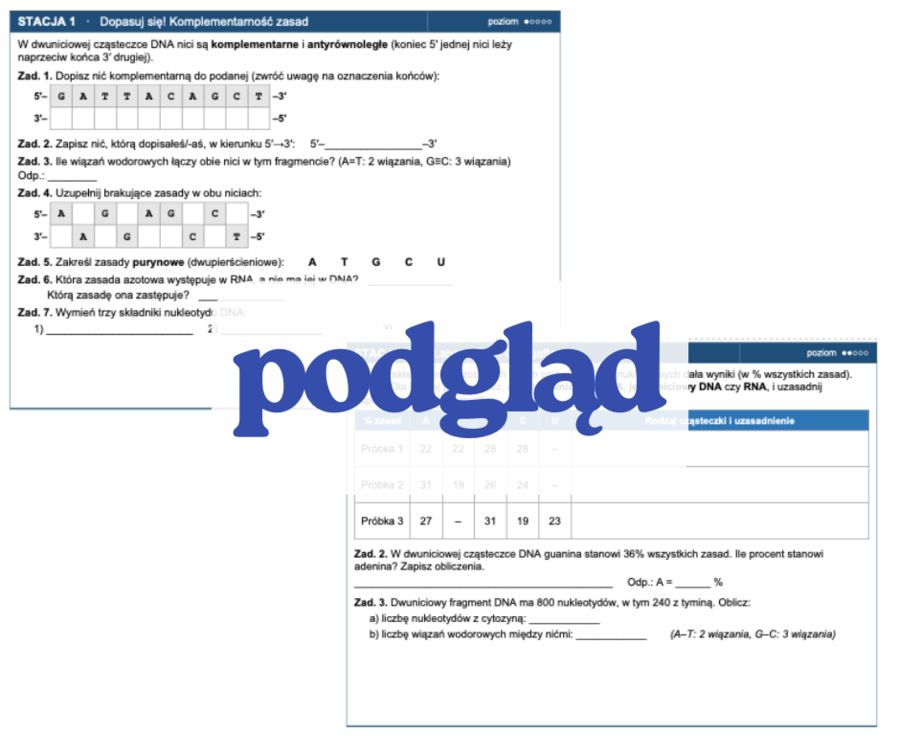 Genetyka molekularna - stacje zadaniowe (budowa kwasów nukleinowych, replikacja, geny i genomy, ekspresja genów)