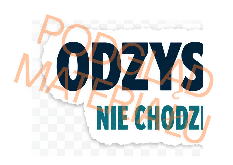 ODZYSKAJ SWÓJ CZAS – gazetka szkolna o higienie cyfrowej i czasie ekranowym | klasy 4–8 | PDF