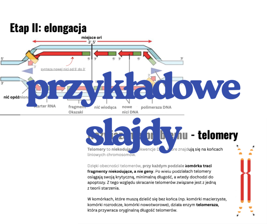Replikacja DNA - prezentacja (poziom rozszerzony, matura)