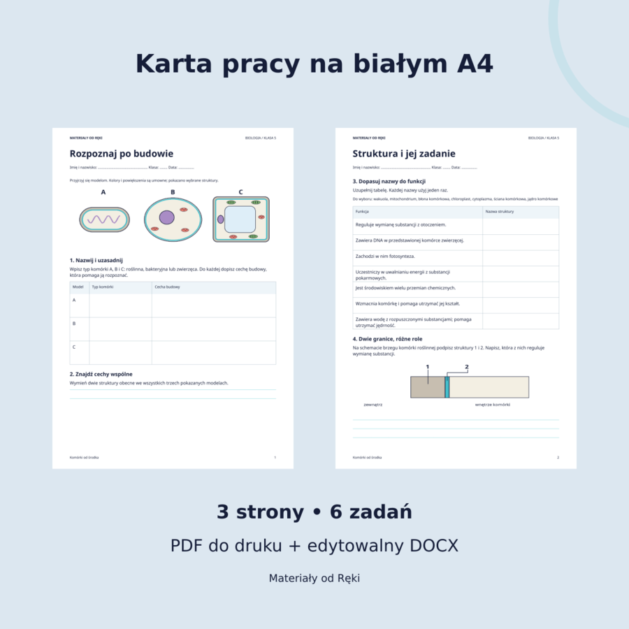 Komórki od środka: budowa i porównanie komórek | biologia klasa 5