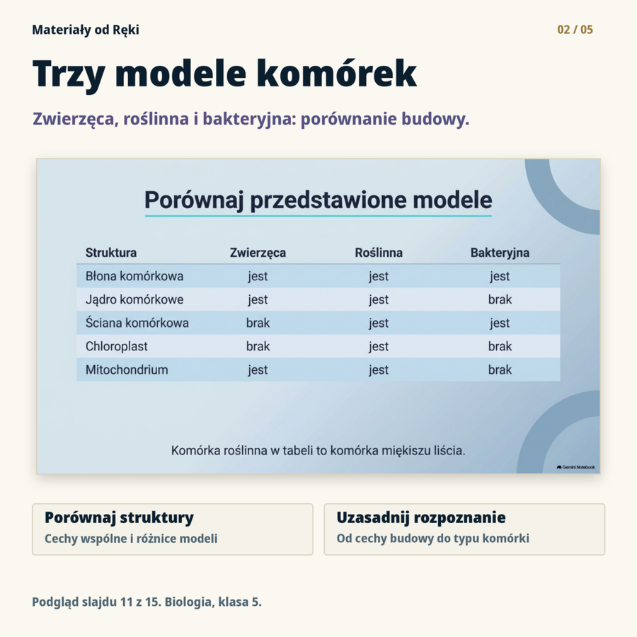 Komórki od środka: budowa i porównanie komórek | biologia klasa 5