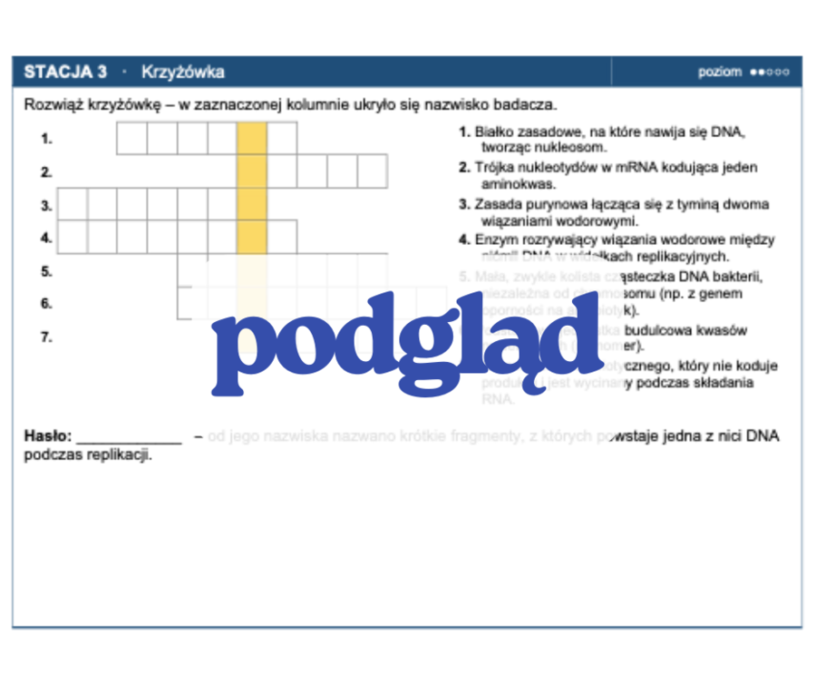 Genetyka molekularna - stacje zadaniowe (budowa kwasów nukleinowych, replikacja, geny i genomy, ekspresja genów)