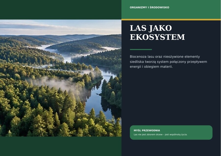 Las – żywy ekosystem | gazetka premium, klasy 5–8 i szkoła ponadpodstawowa, 18 plansz