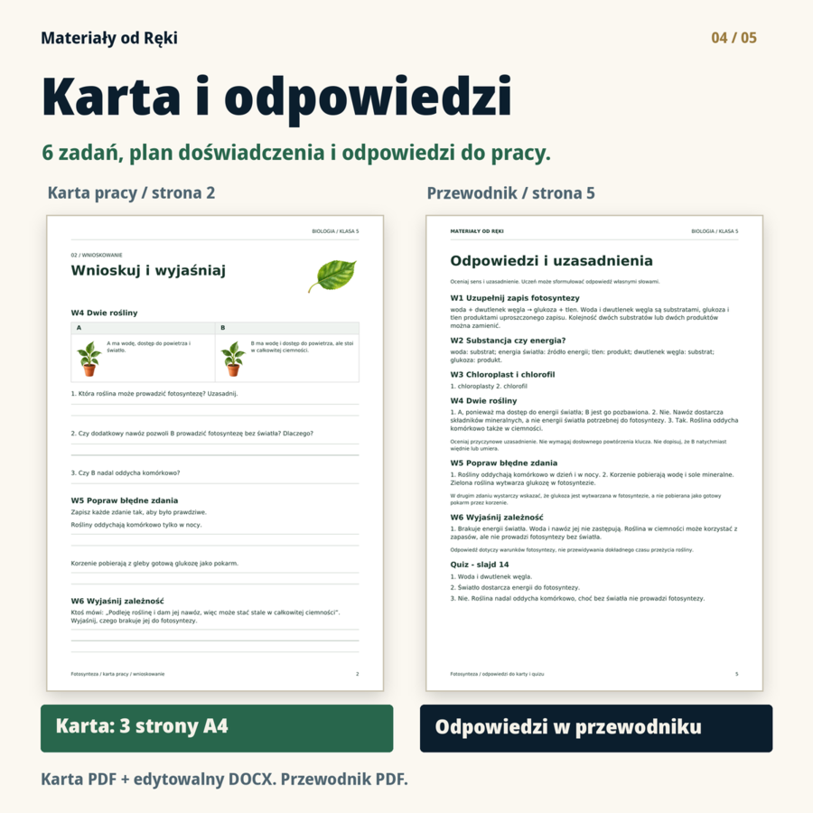 Fotosynteza, klasa 5 - 15 slajdów, karta pracy PDF/DOCX i przewodnik