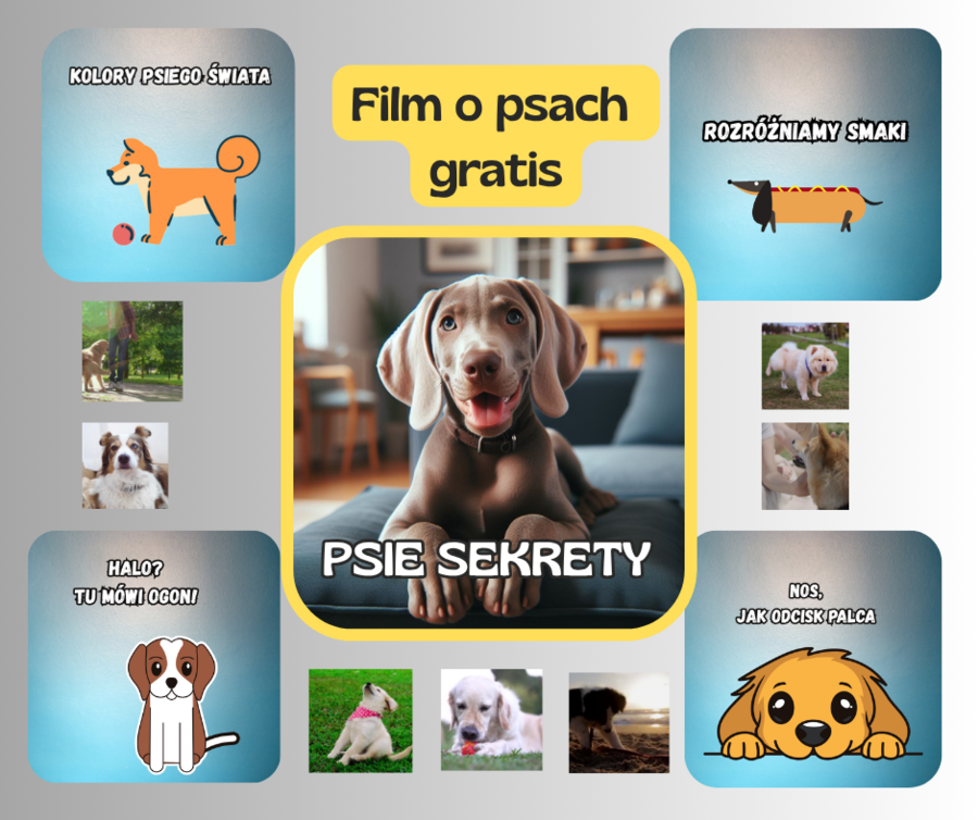 Dzień Kundelka -bezpłatne materiały o psach-film i karty pracy dla młodszych dzieci.