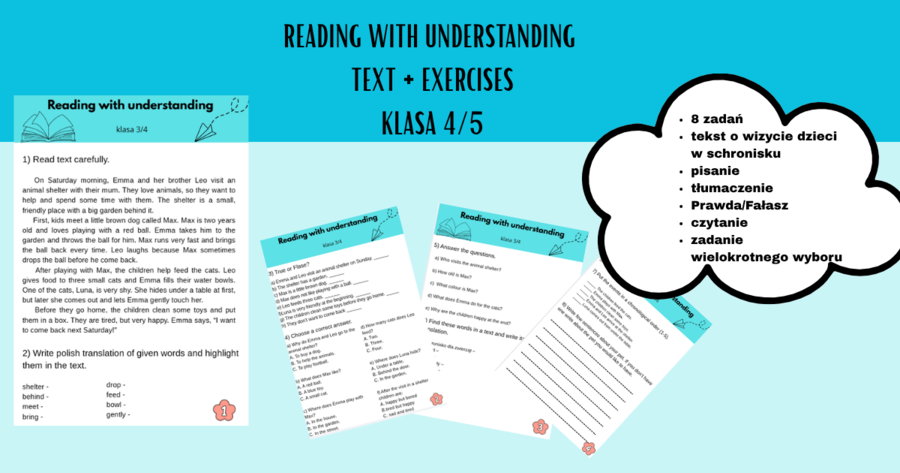 Reading with understanding - klasa 4/5 karta pracy