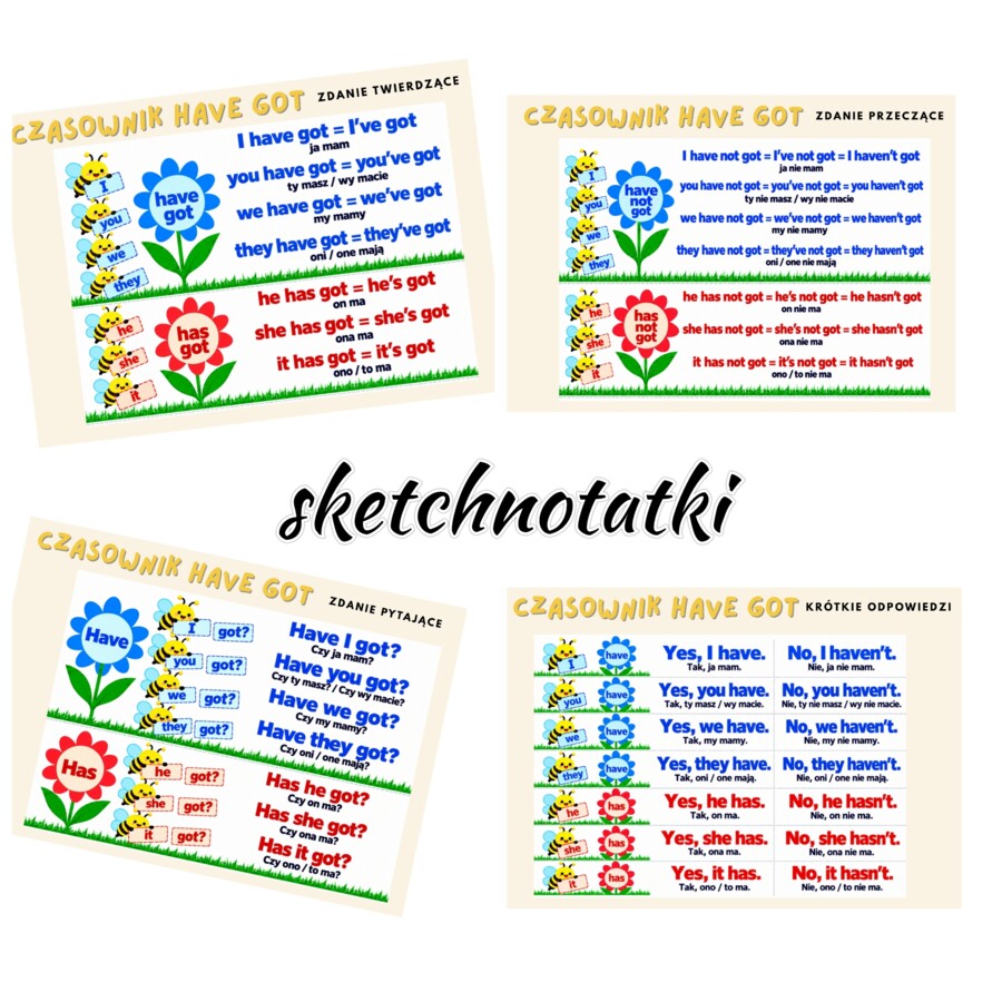 HAVE GOT / HAS GOT – kompleksowy pakiet edukacyjny dla klas 1–4 szkoły podstawowej