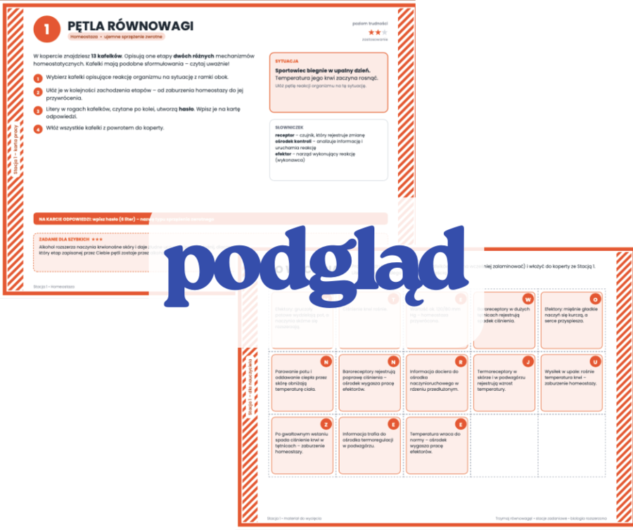 Stacje dydaktyczne biologia: hierarchiczna budowa organizmu, układ powłokowy, układ ruchu (kostny i mięśniowy)