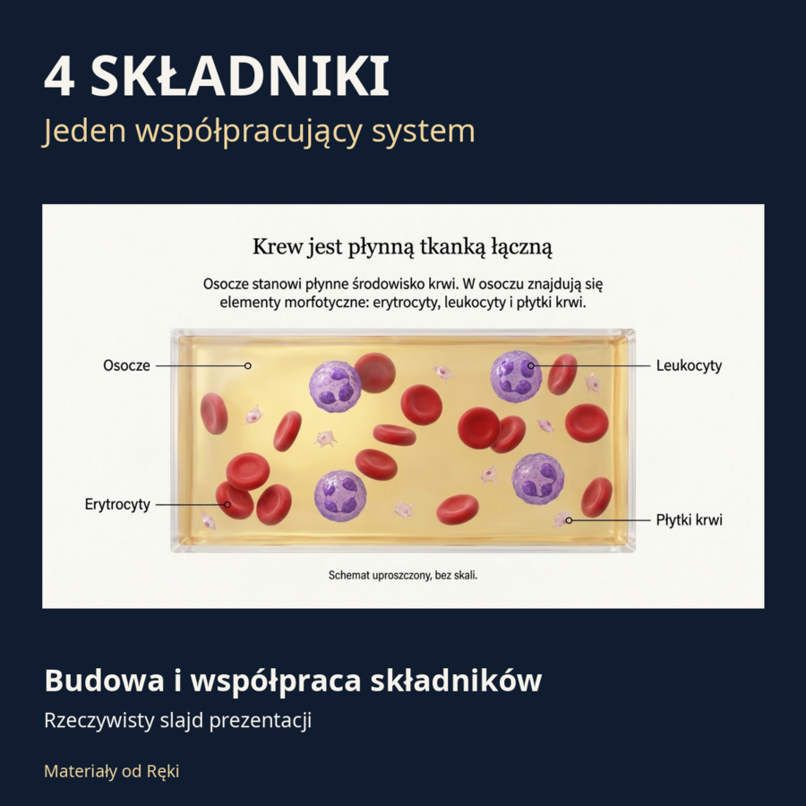 Krew - biologia klasa 7 | Misja: Krew! Prezentacja i karta pracy na 45 minut