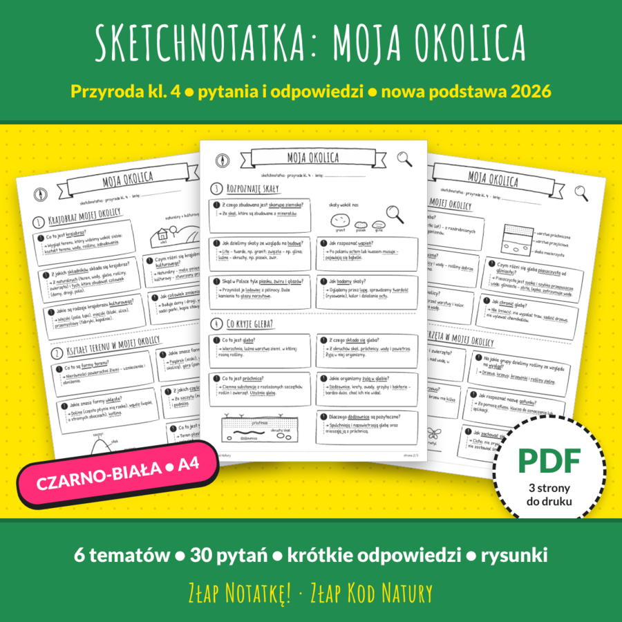 Sketchnotatka „Moja okolica” – przyroda kl. 4 | pytania i odpowiedzi | nowa podstawa 2026 | PDF do druku