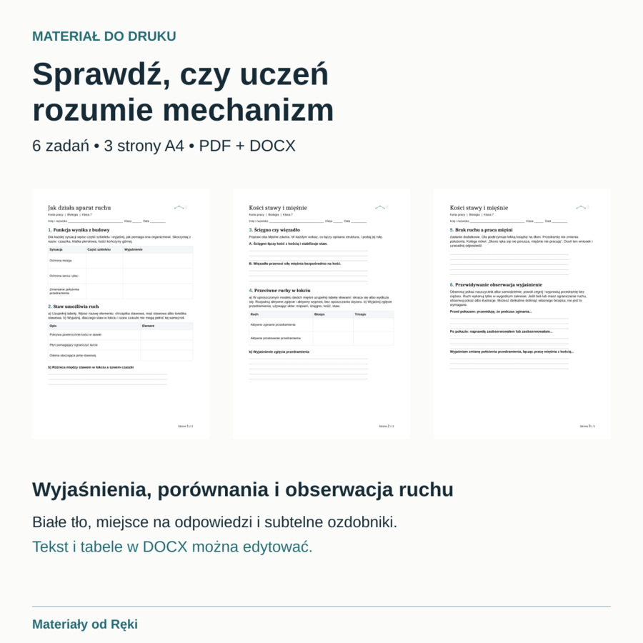 Jak działa aparat ruchu? Kości, stawy i mięśnie - biologia, klasa 7