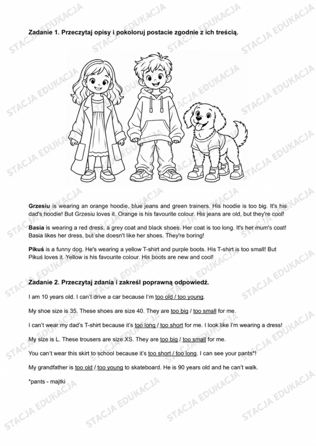 New English Class 4 – Unit 2 | Powtórka do sprawdzianu + klucz odpowiedzi