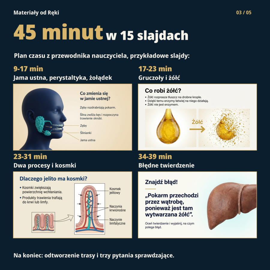 Układ pokarmowy - biologia klasa 7 | prezentacja i karta pracy na 45 minut