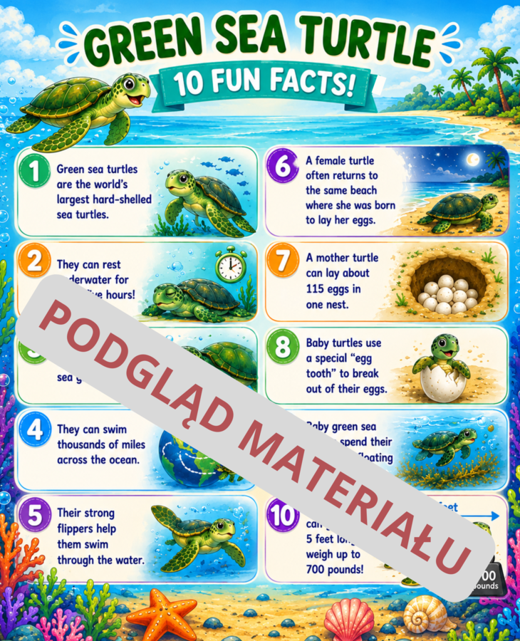 Bee Best - Sea animals - e-book