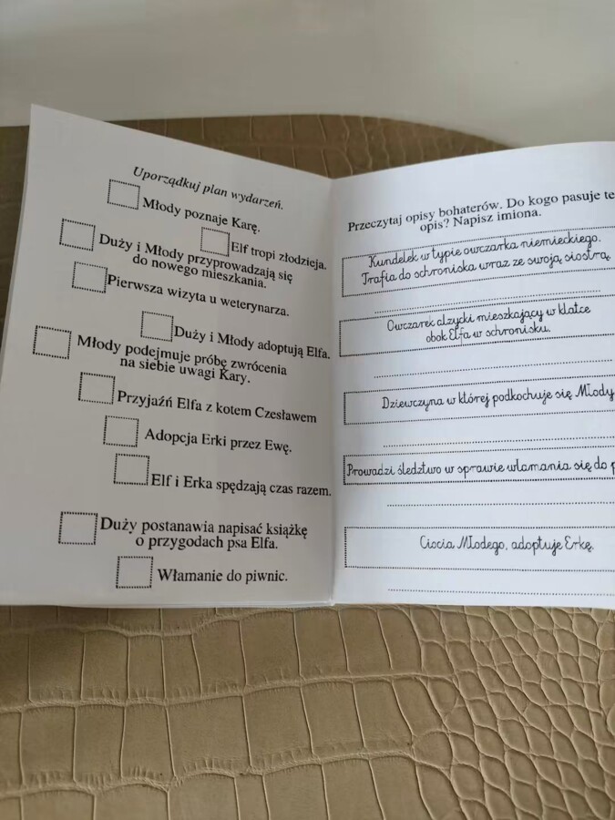 Sposób na Elfa - lapbook + miniksiążeczka