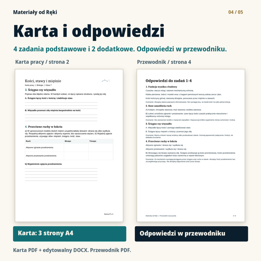 Jak działa aparat ruchu? Kości, stawy i mięśnie - biologia, klasa 7