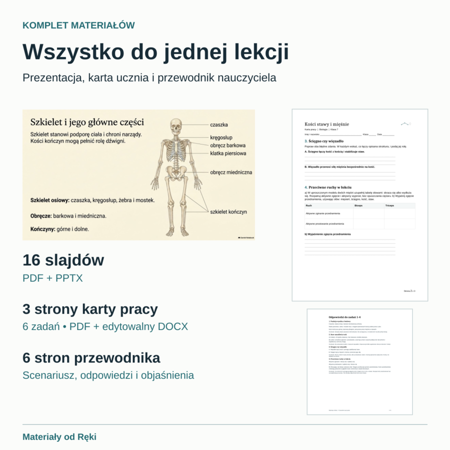Jak działa aparat ruchu? Kości, stawy i mięśnie - biologia, klasa 7