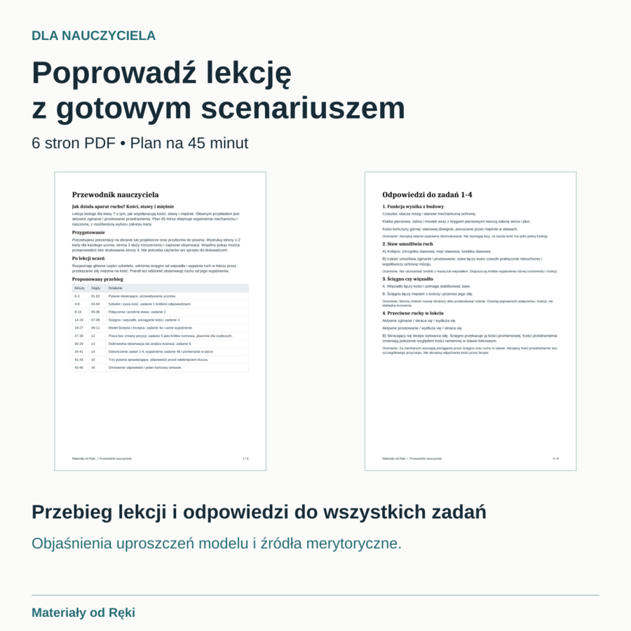 Jak działa aparat ruchu? Kości, stawy i mięśnie - biologia, klasa 7