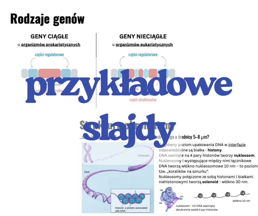 Geny i genomy. - prezentacja III /  IV klasa poziom rozszerzony biologia matura
