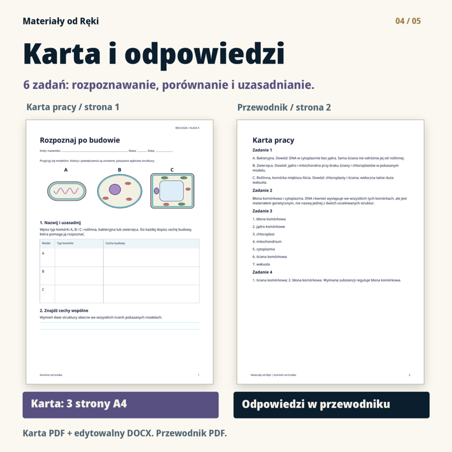 Komórki od środka: budowa i porównanie komórek | biologia klasa 5