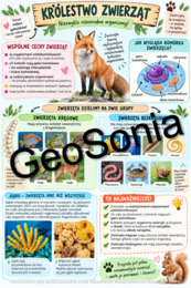 W królestwie zwierząt biologia klasa 6 sketchnotka