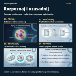 Komórki od środka: budowa i porównanie komórek | biologia klasa 5