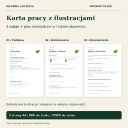 Fotosynteza, klasa 5 - 15 slajdów, karta pracy PDF/DOCX i przewodnik