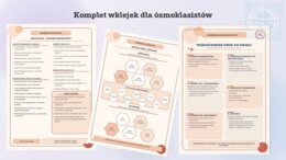 Komplet wklejek "Niezbędnik ósmoklasisty"