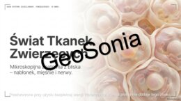 „Świat Tkanek Zwierzęcych: Mikroskopijna anatomia z bliska – nabłonek, mięśnie i nerwy” – Prezentacja Multimedialna (Biologia, Klasa 6)