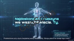 Organizm człowiek. Skóra - powłoka organizmu.Projekt: Człowiek” – Multimedialna Prezentacja: Poziomy Organizacji Ciała i Homeostaza (Biologia Klasa 7)