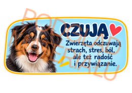 Światowy Dzień Zwierząt – gazetka szkolna na 4 października | dekoracja + elementy XXL
