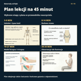 Jak działa aparat ruchu? Kości, stawy i mięśnie - biologia, klasa 7