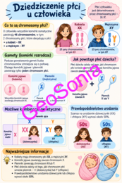 Dziedziczenie płci u człowieka biologia klasa 8 sketchnotka