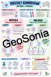 Podziały komórkowe biologia klasa 8 sketchnotka