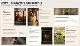 Koty - niezwykłe stworzenia