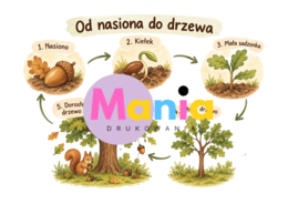 DZIEŃ DRZEWA