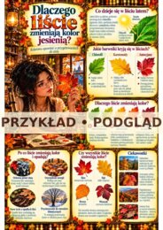Alchemia codzienności – Dlaczego tak się dzieje? gazetka A4