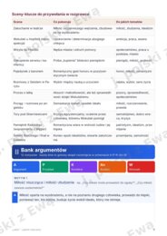 Lalka - kompletne kompednium wiedzy na maturę