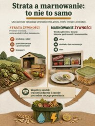 Światowy Dzień Żywności – Od pola do stołu. Nie marnuję – szanuję | 20 plansz edukacyjnych