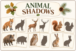 FOREST ANIMALS IN POLISH  WOODS- kompletny pakiet do angielskiego.