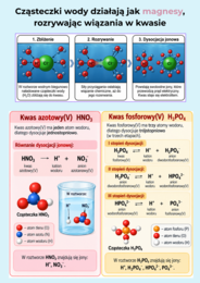 Kwasy. Chemia, klasa 8. Kolorowe notatki graficzne PDF